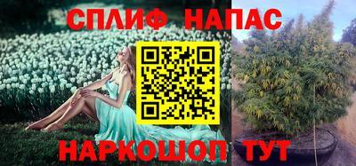 МДПВ Вязники