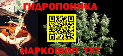 ешки Вязьма