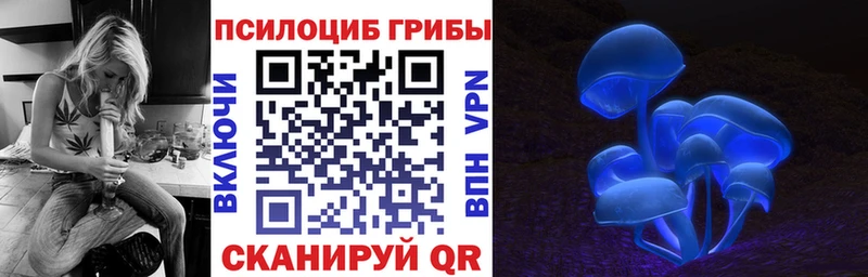 Псилоцибиновые грибы Magic Shrooms  где купить наркоту  ОМГ ОМГ маркетплейс  Раменское 