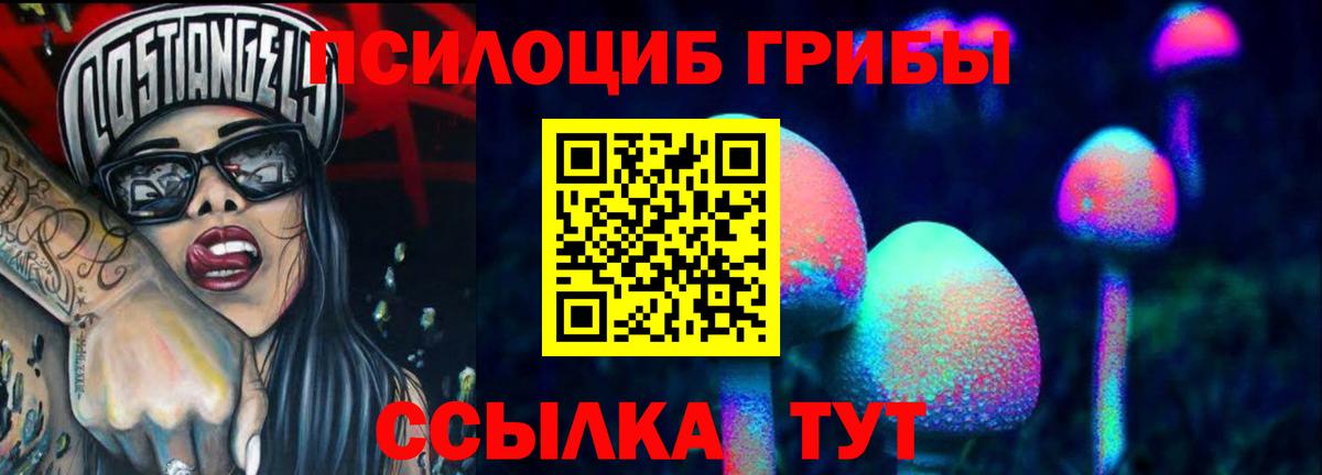 Псилоцибиновые грибы мицелий  Вход с VPN  Раменское 